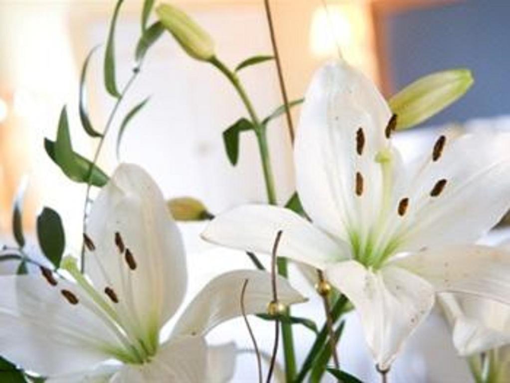Malin Court Hotel And Restaurant エアー 部屋 写真